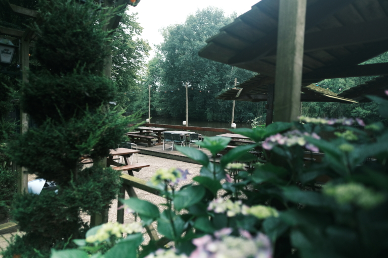Wilgenweard waterterras