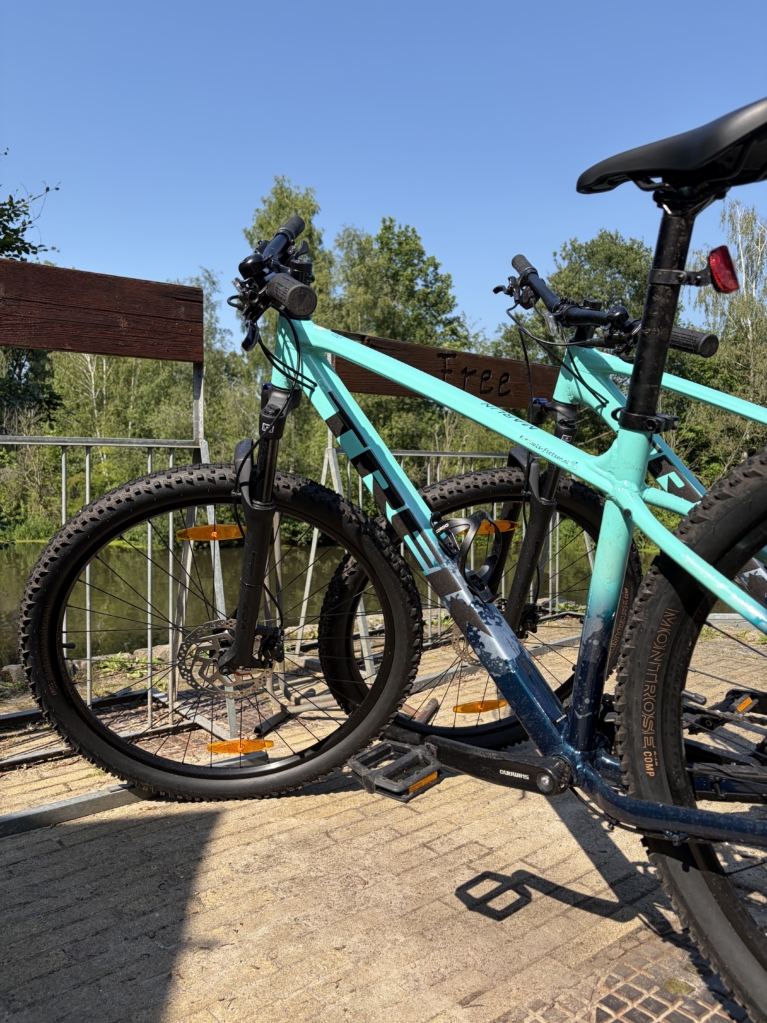 Mountainbike van Wilgenweard